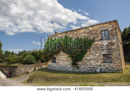 Haus mit Pflanze in BlÃ¼te