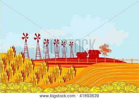 Eco landbouw - landschappen