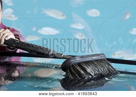 Lavado de coches