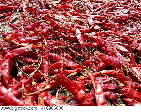Red Hot And Spicy Chili Stock