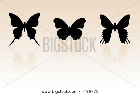 Butterfly Silhouetten