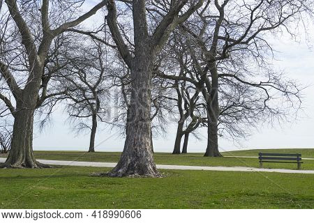 Burnham Shores Park By Lake Michigan In Chicago, Spring Landscape Of Green Field.