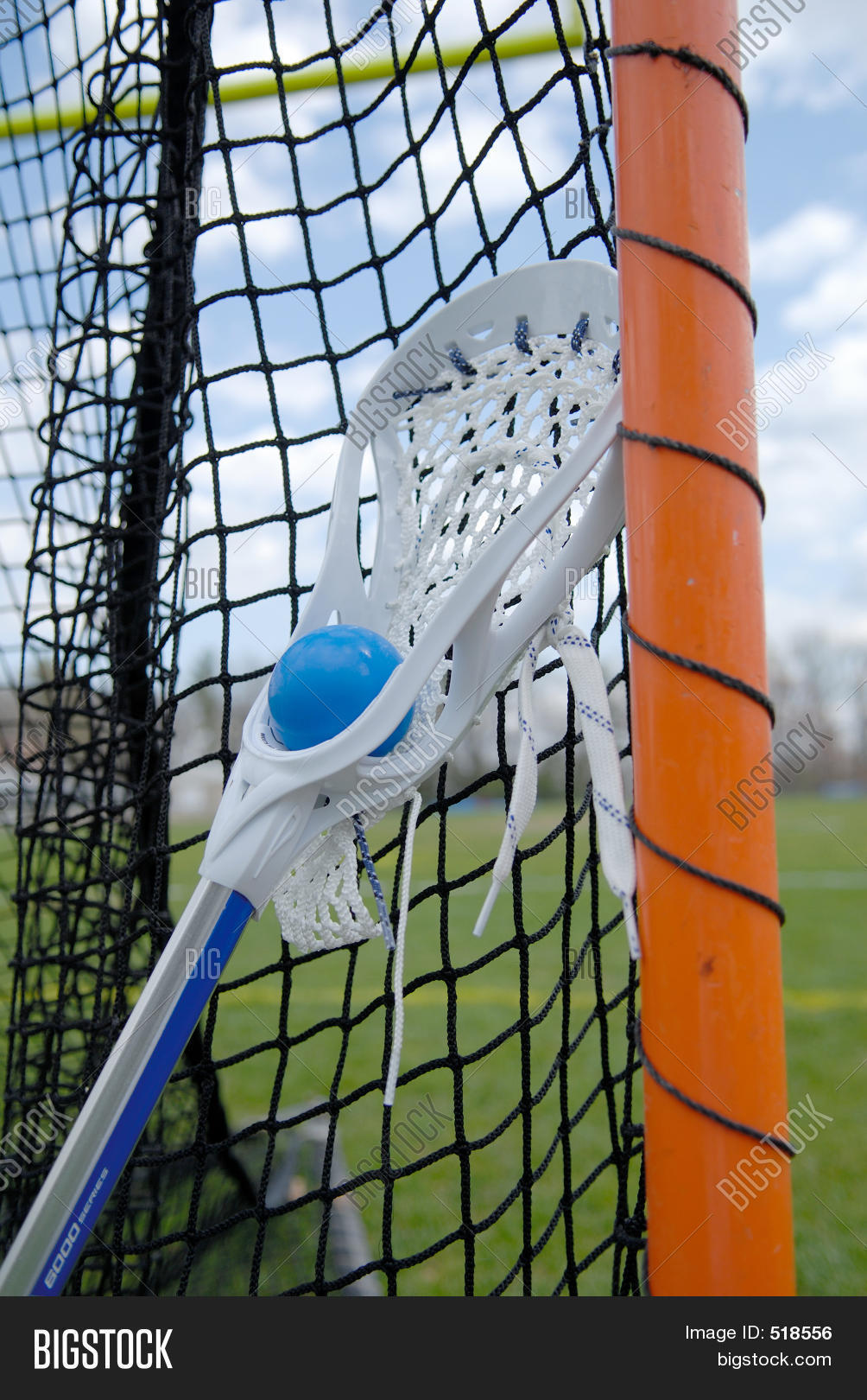 Lacrosse Stick Net Image & Photo (Free Trial) Bigstock