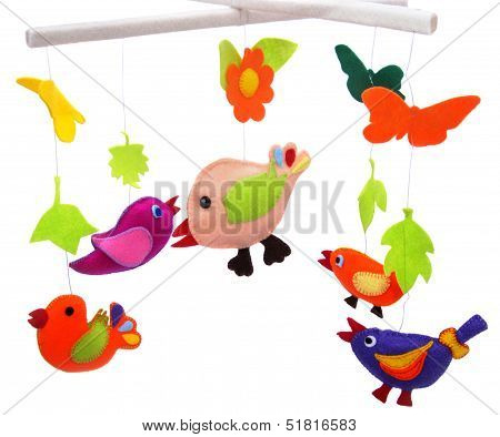 Birds
