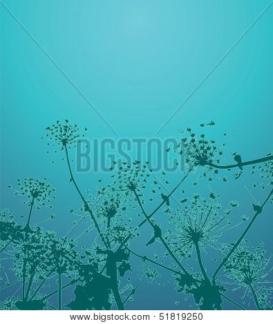 Flowers03