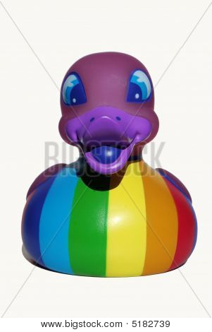 Anatra arcobaleno