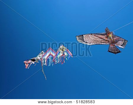 Kite