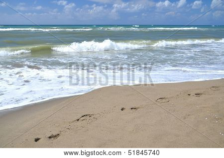 Restless sea on sandy beach Marina di Vecchiano nearby Pisa, Tuscany in Italy