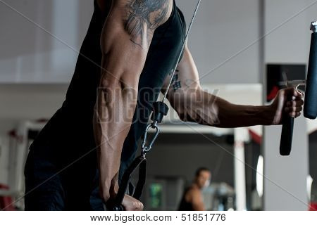 Triceps Pulldown Workout
