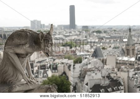 Gargoyle At Notre-dame Cathedral, Paris