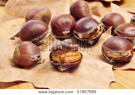some roasted chestnuts, typical snack in All Saints Day in Catalonia, Spain