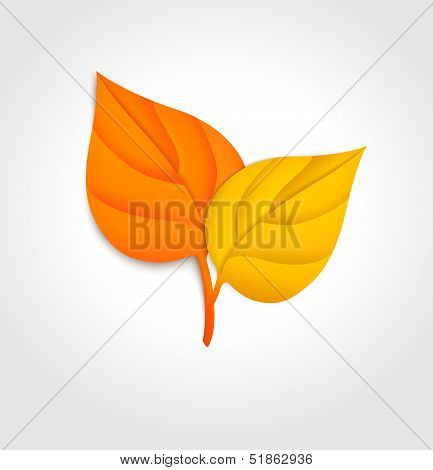 Autumn Leaves. Vector Illustration.