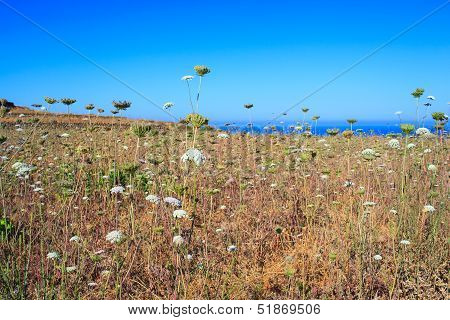 Pantelleria, Sicily