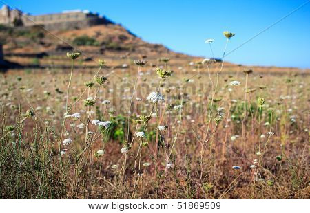 Pantelleria, Sicily