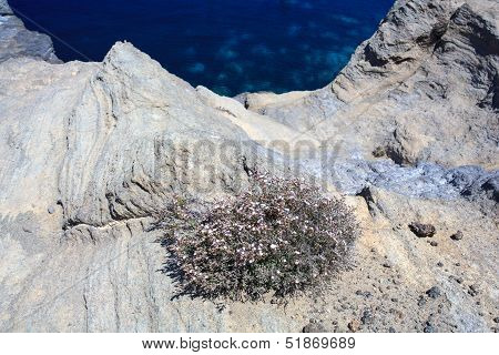 Pantelleria