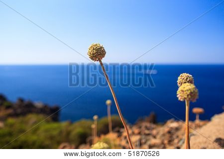 Pantelleria, Sicily