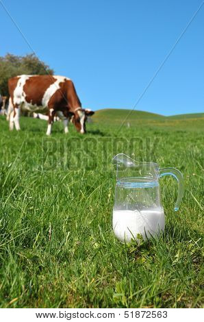 Jug of milk against herd of cows. Emmental region, Switzerland