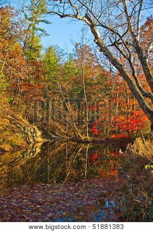 Stoney Creek In Fall