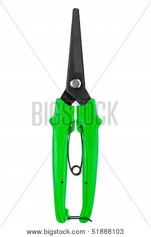 Garden Scissors