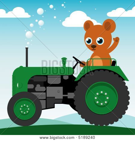 Traktor bear
