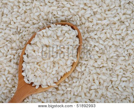 Arborio Rice