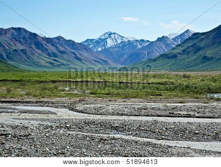 Denali's Toklat River