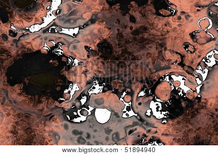 Organic Swirl 13