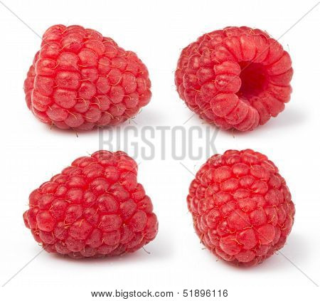 Raspberries White Isolated