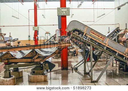 Inside A Tea Factory