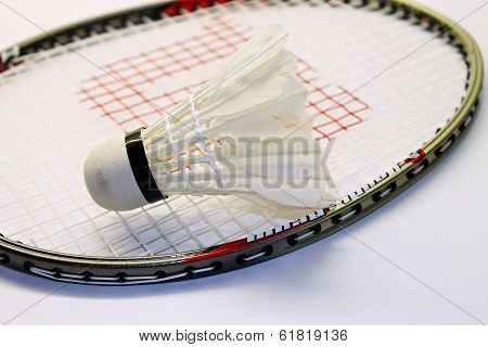Badminton ball