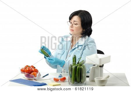 Phytosanitary Technician Measuring Length Of Cucumber