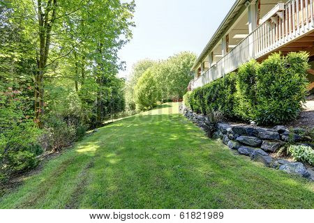View Of Side Yard Landscape
