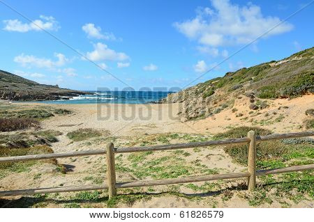 Wooden Palisade