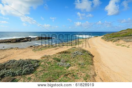 Yellow Sand And Green Bushes