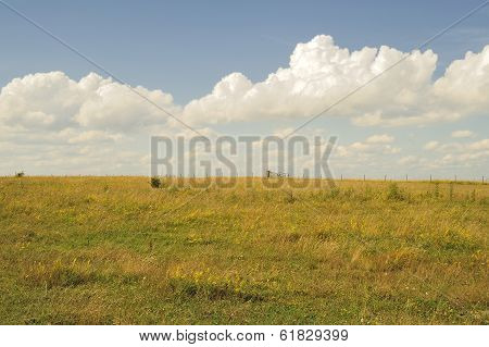 Sweden