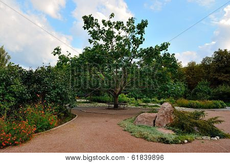 Park 