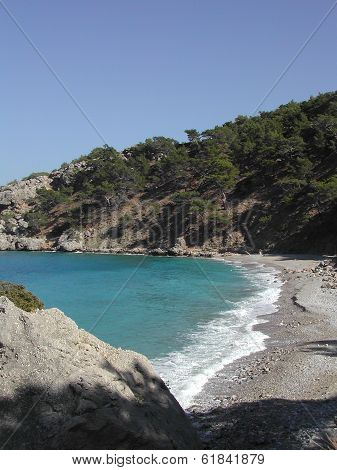 apela