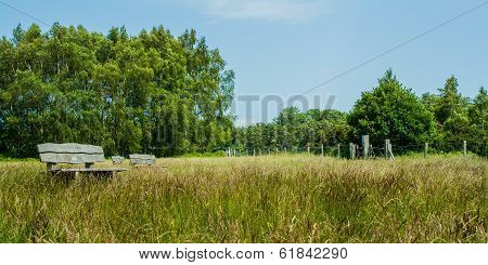 Ashdown Forest
