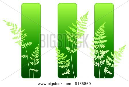 Fern plante des bannières environnementales verts