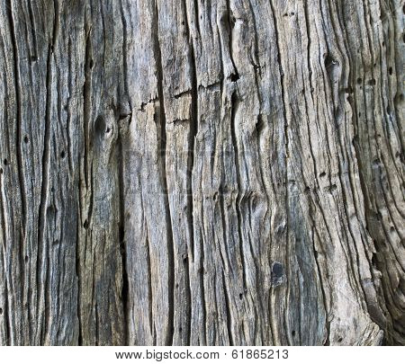 Wood Wall