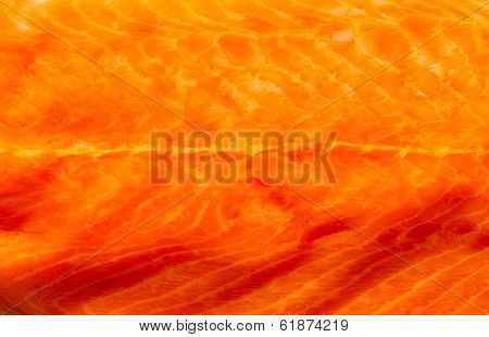 Closeup Fresh Salmon Red Fish Meat As Food Background Texture