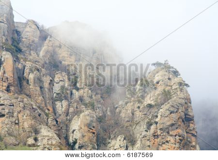 Rocky Mountain