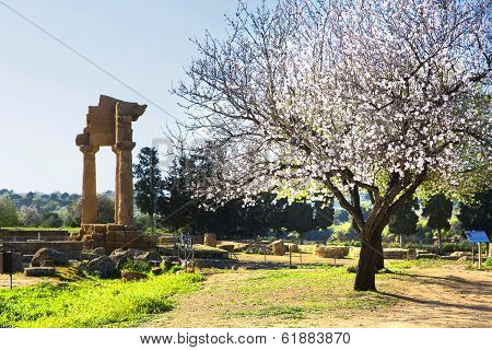 Ancient Greek Temple Of The Dioscuri