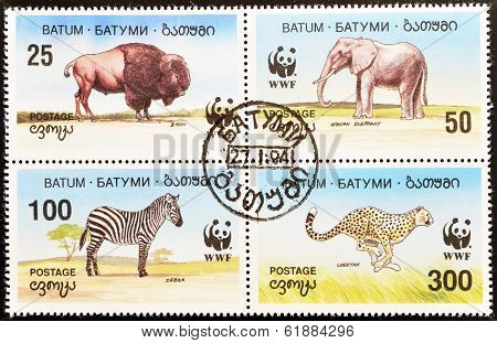 BATUM - CIRCA 1994: A stamp printed in Batum shows elephant bison zebra and cheetah seire circa 1994
