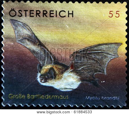 AUSTRIA - CIRCA 2007: A stamp printed in Austria shows Brandt's Bat Myotis brandtii circa 2007