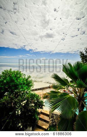Zanzibar Beach Tanzania