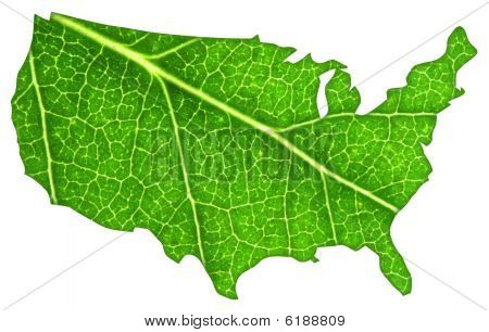 Green Usa