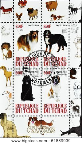 CHAD - CIRCA 2010: A stamp printed in Republic of Chad shows different dog breeds serie circa 2010