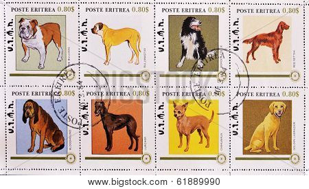 ERITREA - CIRCA 1984: A stamp printed in Eritrea showing different breeds of dogs serie circa 1984