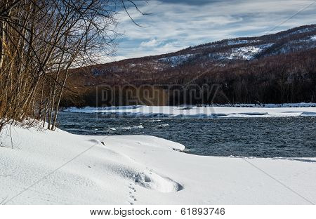 Wild Nature Of Kamchatka. Mountains, Forest And Avacha River. Russia